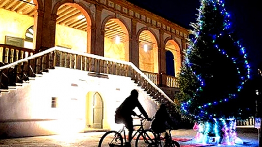 Энергосберегающая елка в Италии к новогодним праздникам